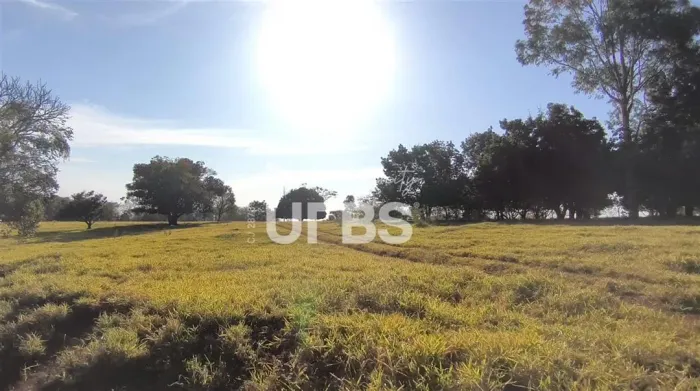 Araguari/MG: Fazenda com Potencial Triplo - Mineração, Agropecuária e Plantio! Descubra um