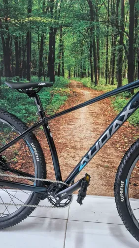 Bicicleta aro 29 audax