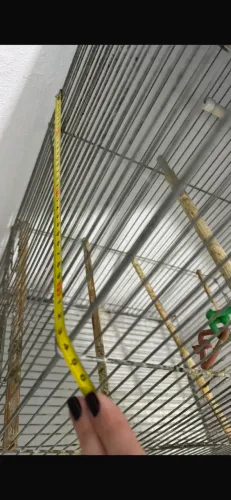 Vendo viveiro para calopsita 