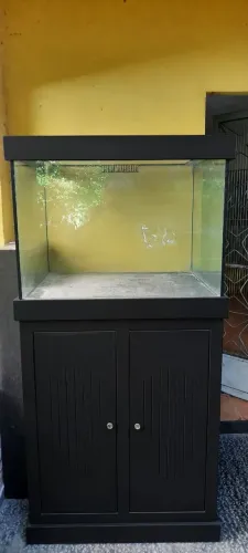 Aquário 
