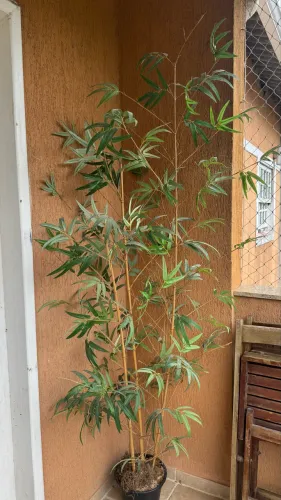 Bambu artificial de 1,80 m - Doação