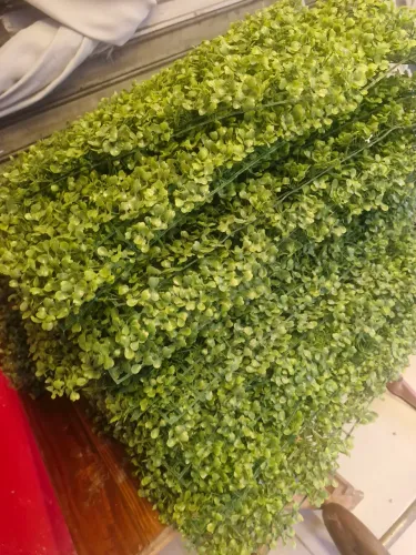 Planta parede artificial