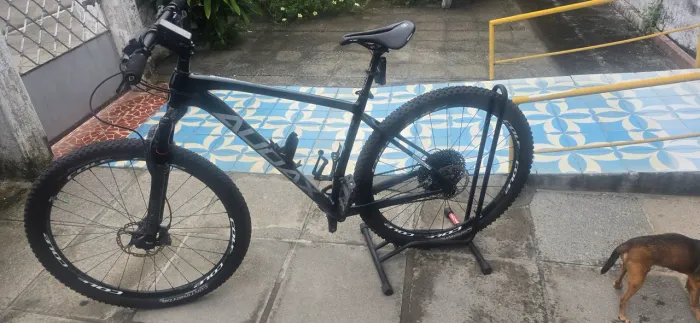Bicicleta Audax 555( Carbono)