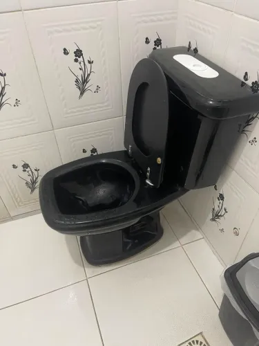 Aparelho sanitário
