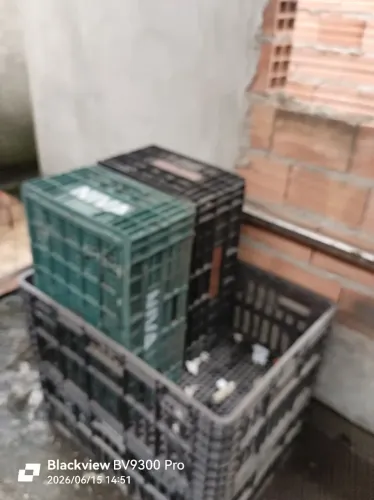 caixas plasticas de supermercados para desapego