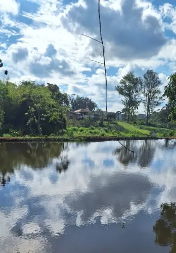 Sítio com Nascente, Mata Preservada e área Agropastoril - Barbacena