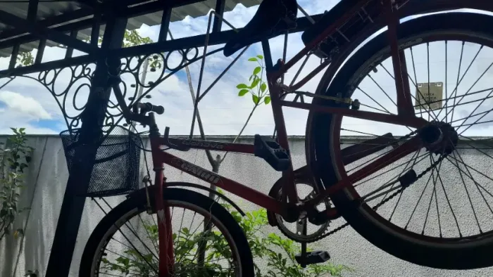 Bicicleta pote aro 24 vermelha