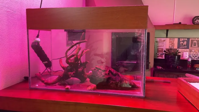 Aquário 100L