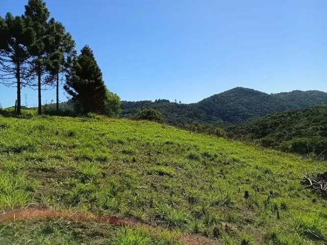 VENDO LINDO TERRENO -( 65 mil) EM BATEIAS - CAMPO LARGO