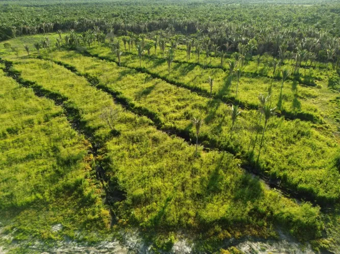 Venda de uma fazenda em lagoa Alegre 