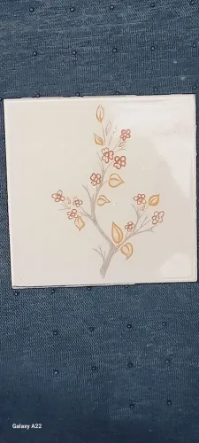 Azulejos antigos marca (Matarazzo) 15×15, tenho muitas peças.