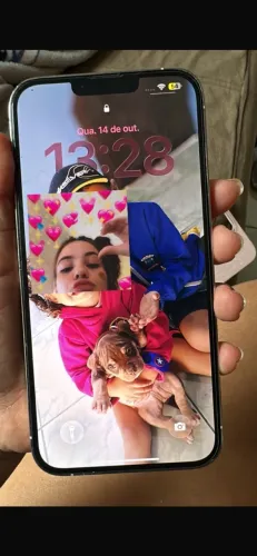 iPhone 13 Pro Max 256gb