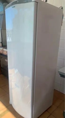 Geladeira Consul Facilite 342 Litros Frost Free 127V