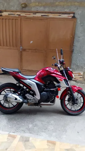 Fz 250 