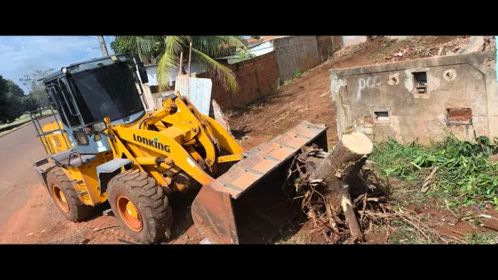 Limpeza de terreno,podas e cortês de árvore.