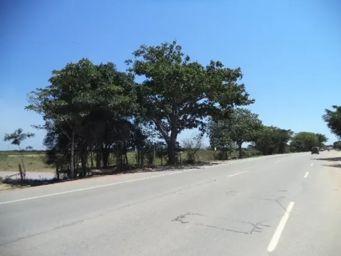 ÁREA DE 153.000,00 M² NA RJ-216 (ESTRADA DO AÇÚCAR - RODOVIA CAMPOS X FAROL), GOYTACAZES