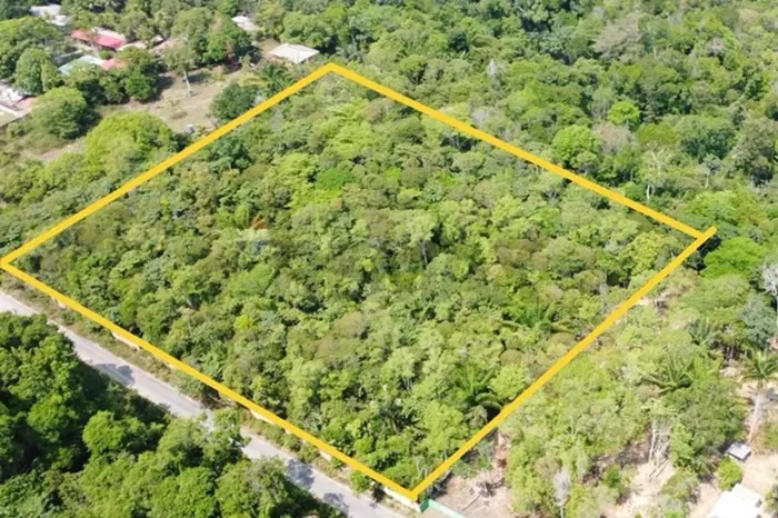 Terreno Tarumã: 12.000m² a venda excelente oportunidade