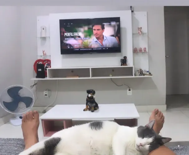 Vendo painel de TV + mesinha