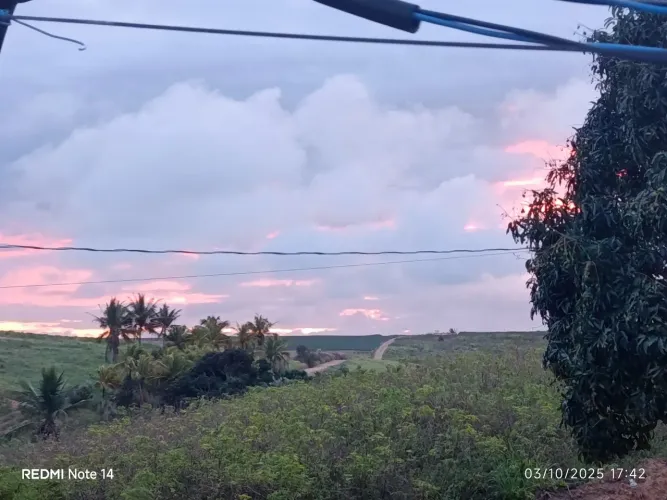 Terreno com nascente