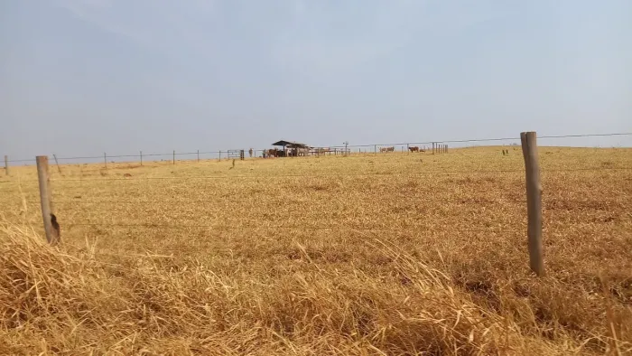 Fazenda próximo Uberlândia 1000 hectares 
