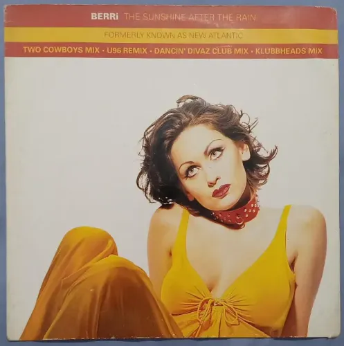 Disco de Vinil LP Berri The Sunshine After The Rain (importado)