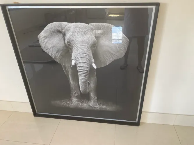 Quadro  1 metro por 1