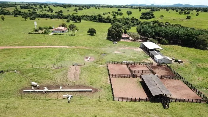 Fazenda Top 131 alqueires - Araguapaz-Go