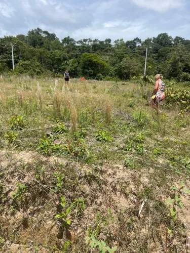 Terreno no tarumã, 8x20.