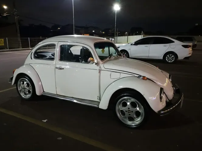 Volkswagen Fusca Fusca (gasolina) 1979