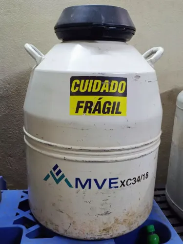 Botijão de sêmen e embriões
