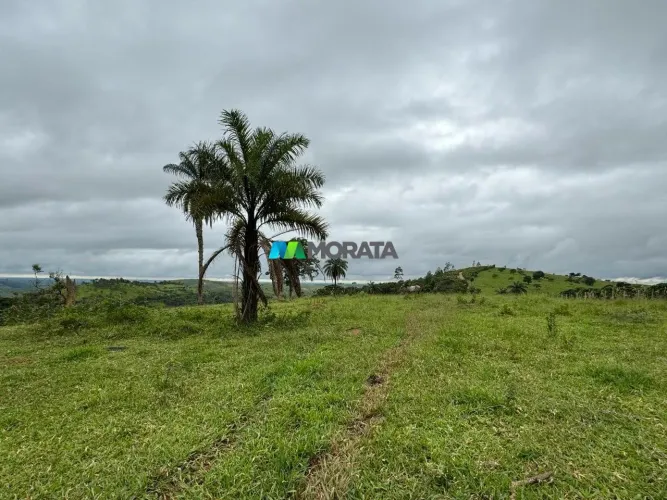 FAZENDA À VENDA - 68 HECTARES - TAPIRAÍ (MG)