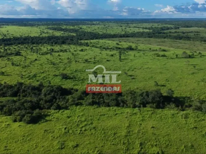 Fazenda de 454 alqueires ( 2.201 hectares) em Colinas do Tocantins To