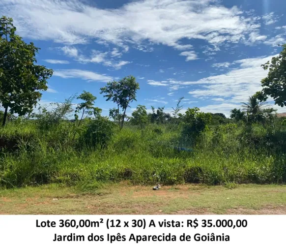 Leia a descrição: Lote 360,00m² Jardim dos Ipês