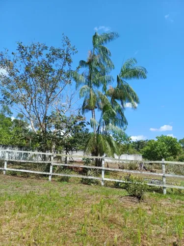Vendo lote na AM 010/ KM26 Ramal dos bons amigos