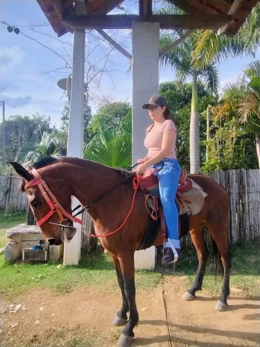VENDO ÉGUA AJEITADA 
