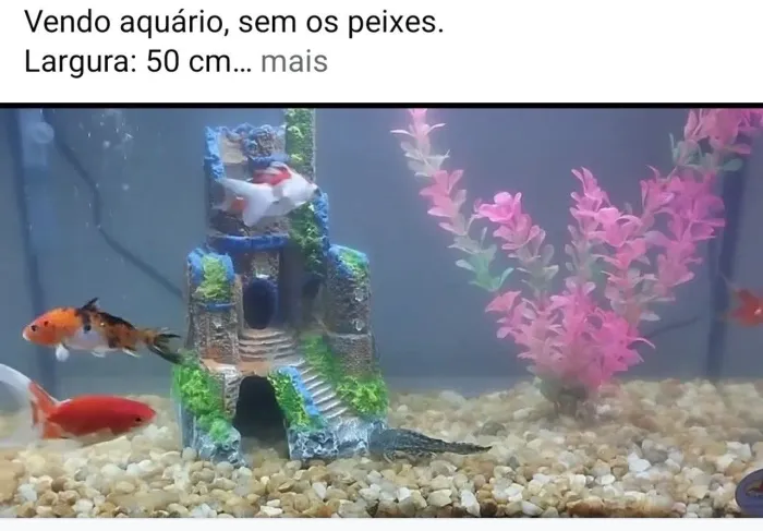 Vendo aquário