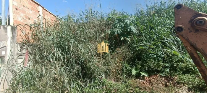 Terreno à Venda em Fernão Dias ? 450m², Plano, R$100 Mil