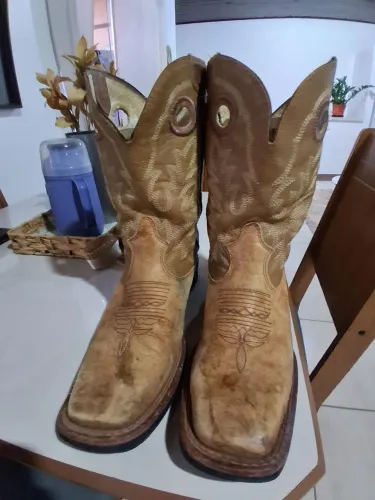 Bota DGO
