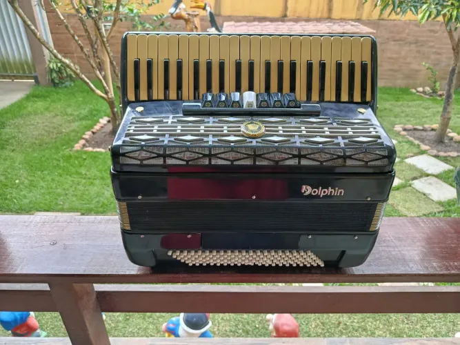 ACORDEON DOLPHIN 120 BAIXOS HIPER NOVA E AFINADA 