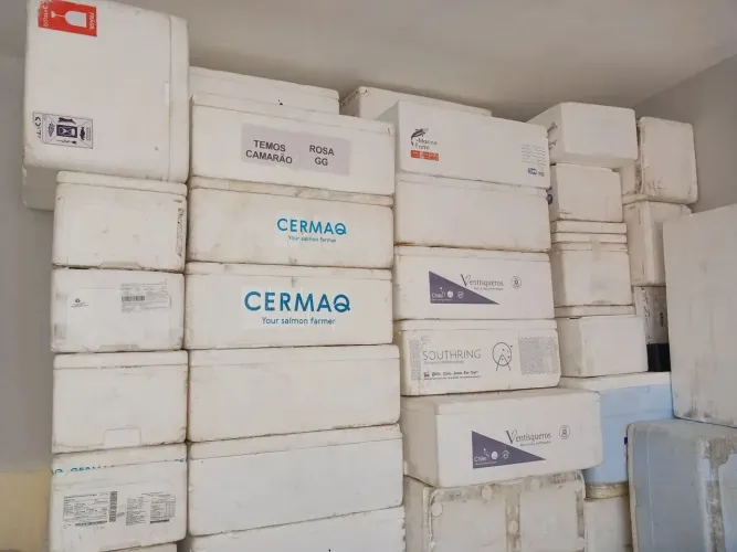 PROMOÇÃO: CAIXA DE ISOPOR TÉRMICA 60L