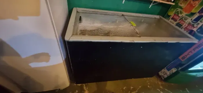Freezer horizontal
