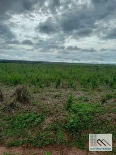 FAZENDA (8.880 hectares). ALTO POTENCIAL PARA AGROPECUÁRIA E LAVOURA