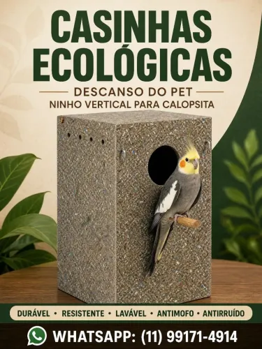 Ninho vertical calopsita