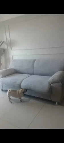 Sofá 4 lugares
