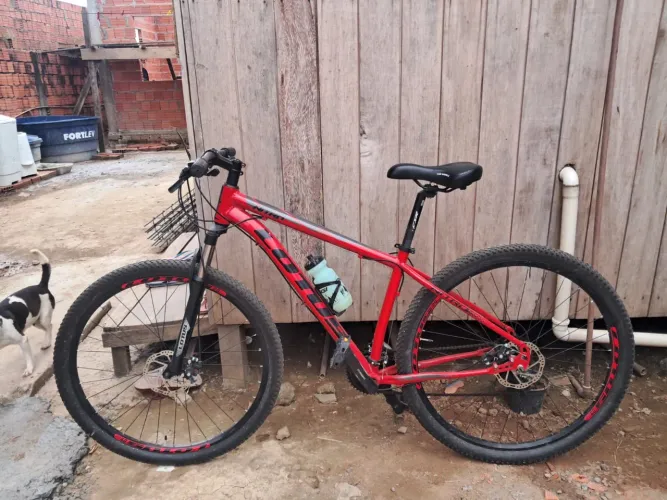 Bicicleta lótus Aro29