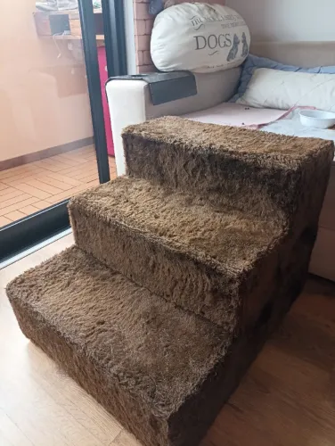 Escada pet