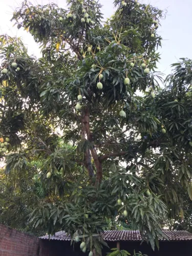 Casa no centro da cidade de Bonito Pernambuco. Casa pode tentar financiamento.