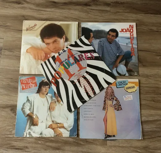 Lote cinco discos de vinil
