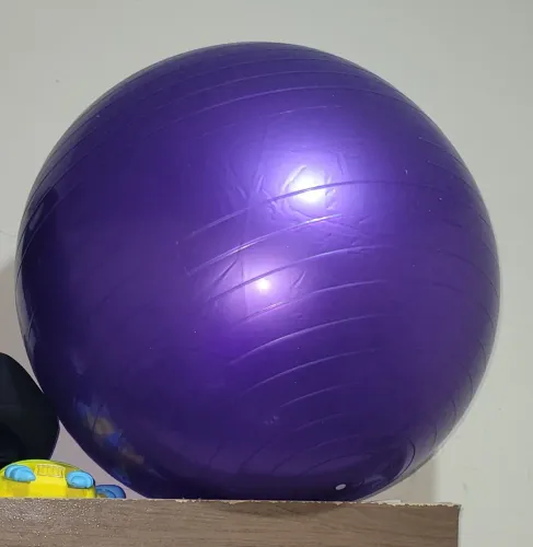 Bola de fisioterapia