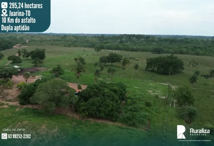 NASCENTES E CÓRREGOS PERENES | 61 ALQUEIRES | PECUÁRIA PRONTA